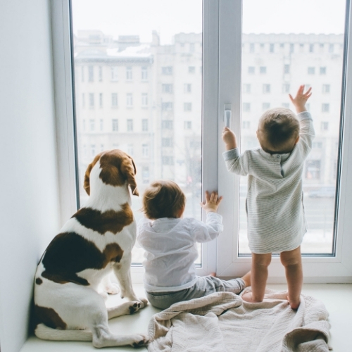 Descubre por qué la demanda de carpintería de PVC ha aumentado en Alicante. En KLIVENPLUS ofrecemos ventanas y puertas duraderas, eficientes y personalizables. ¡Transforma tu hogar con calidad y estilo hoy mismo!